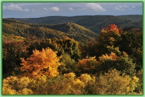 Die Wälder des Rheingau-Taunus